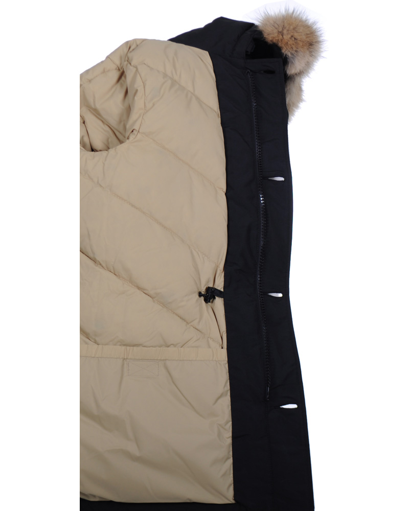 Hombres | Abrigos y chaquetas | Woolrich | Arctic Parka DF Black