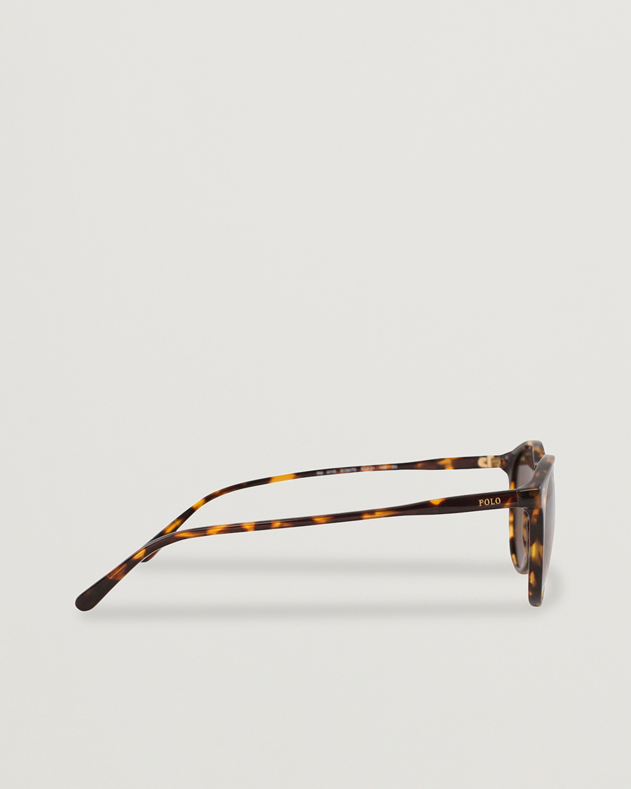 Hombres | Gafas de sol | Polo Ralph Lauren | 0PH4110 Round Sunglasses Havana