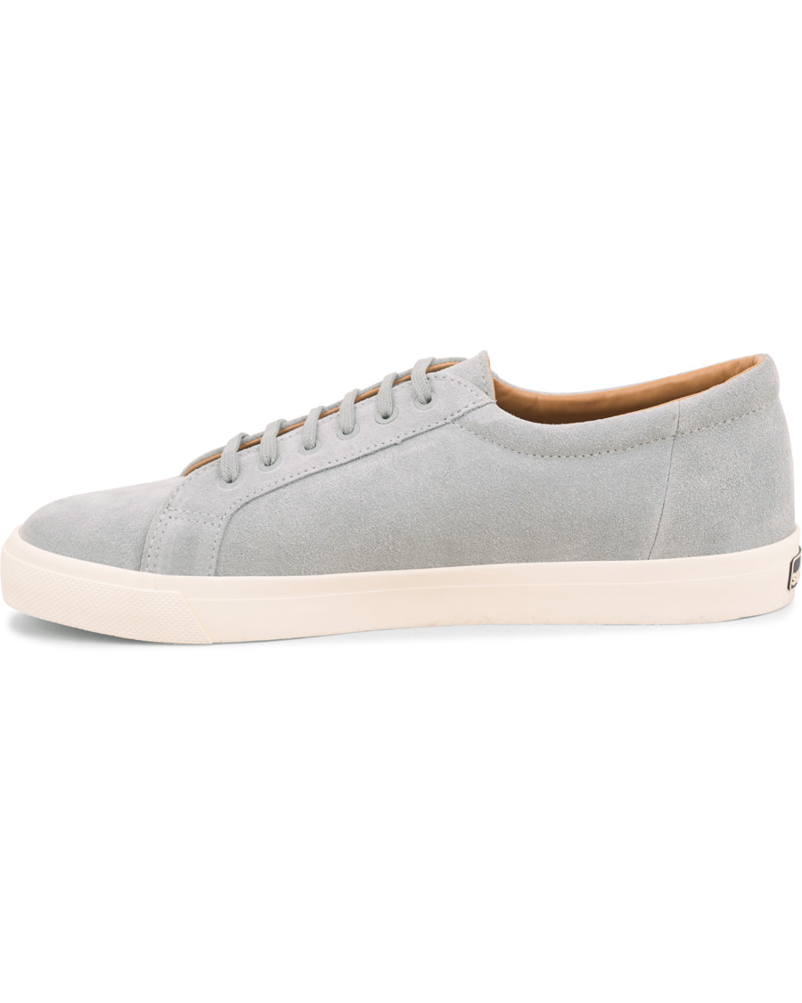 Hombres | Superga Suede Sneaker Light Grey | Superga | Suede Sneaker Light Grey