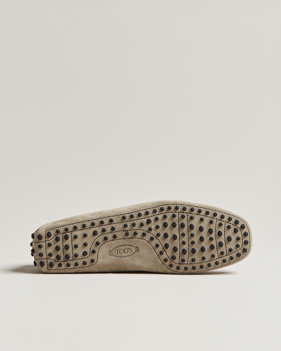 Hombres | Tod's Lacetto Gommino Carshoe Taupe Suede | Tod's | Lacetto Gommino Carshoe Taupe Suede