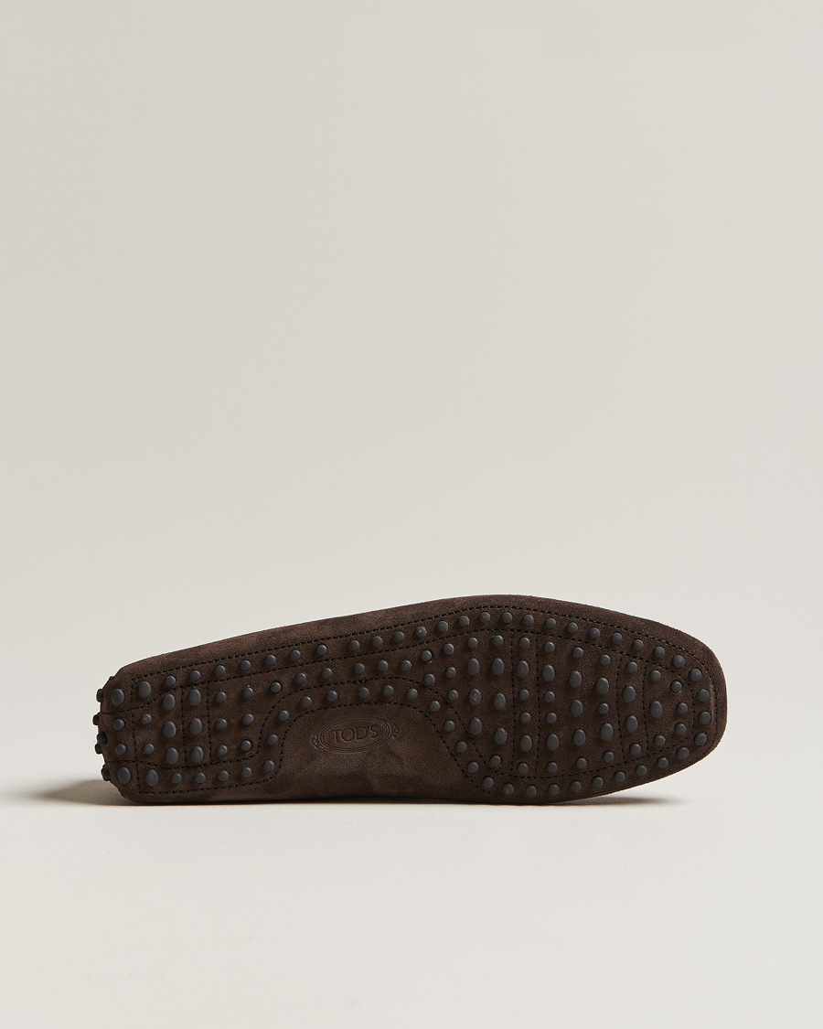 Hombres | Tod's Lacetto Gommino Carshoe Dark Brown Suede | Tod's | Lacetto Gommino Carshoe Dark Brown Suede