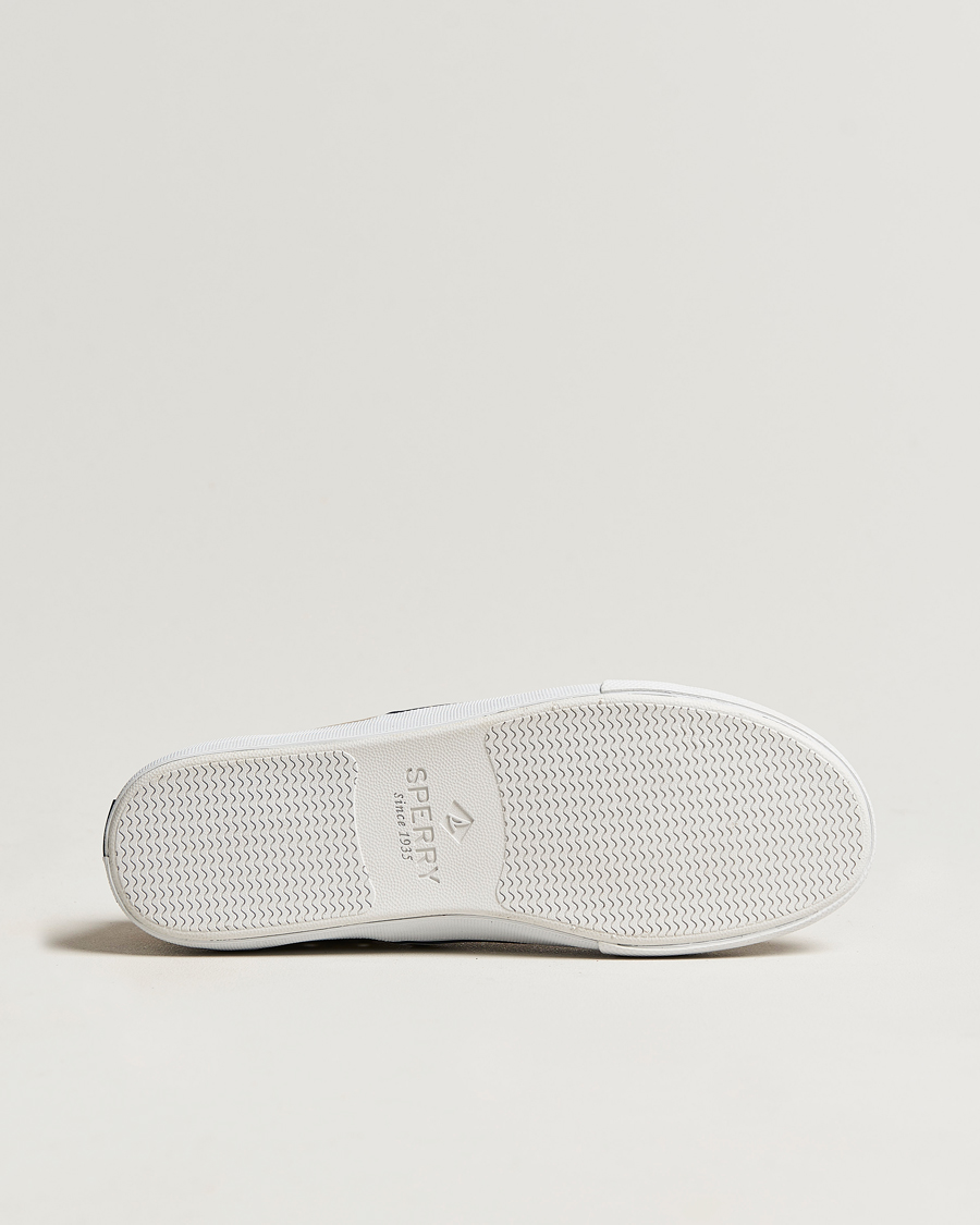 Hombres | Sperry Striper II Canvas Sneaker Beige | Sperry | Striper II Canvas Sneaker Beige