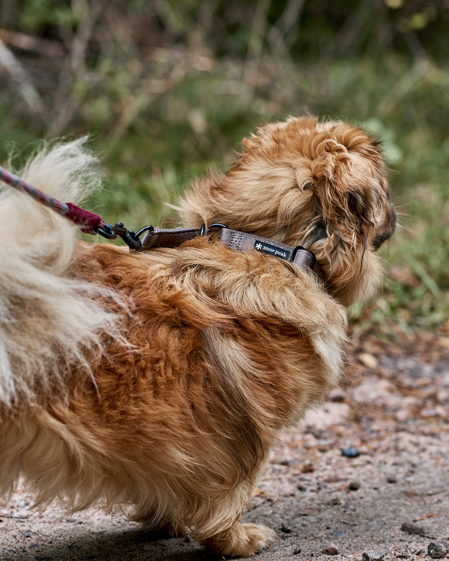 Hombres | Accesorios para perros | Snow Peak | Dog Slip Collar Grey