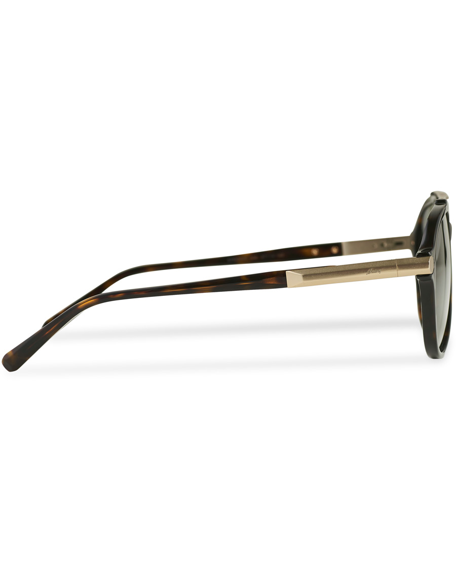 Hombres | Brioni BR0096S Sunglasses Havana Green | Brioni | BR0096S Sunglasses Havana Green