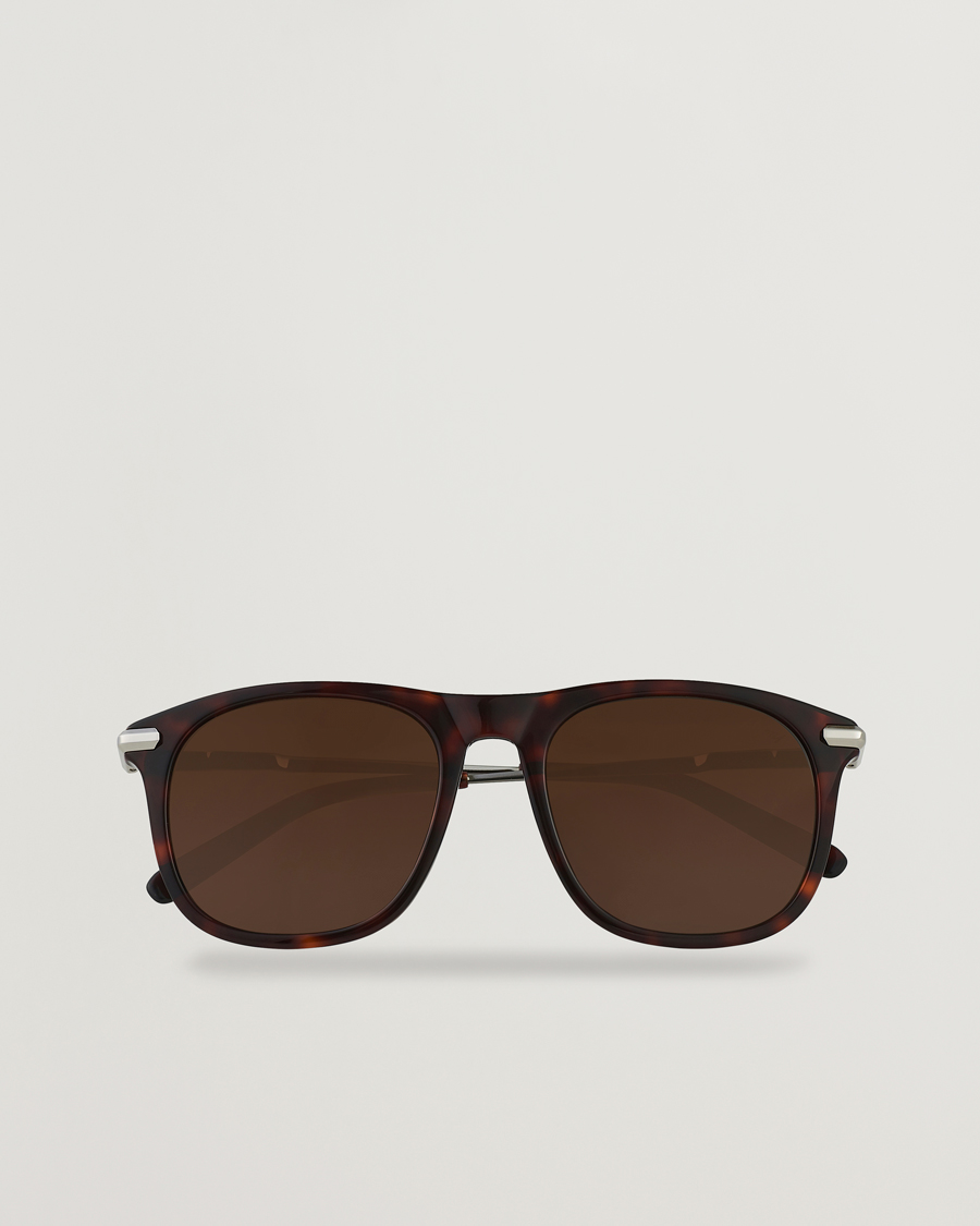 Hombres | Brioni BR0094S Sunglasses Havana Brown | Brioni | BR0094S Sunglasses Havana Brown
