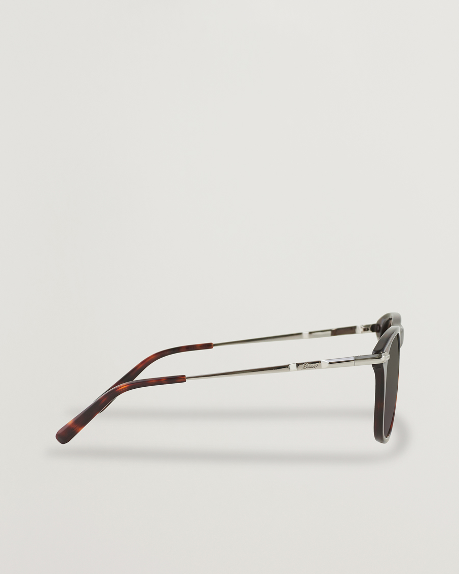 Hombres | Brioni BR0094S Sunglasses Havana Brown | Brioni | BR0094S Sunglasses Havana Brown
