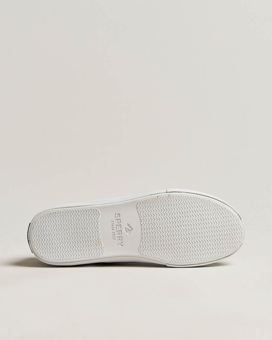 Hombres | Sperry Striper II Canvas Sneaker Whased Black | Sperry | Striper II Canvas Sneaker Whased Black