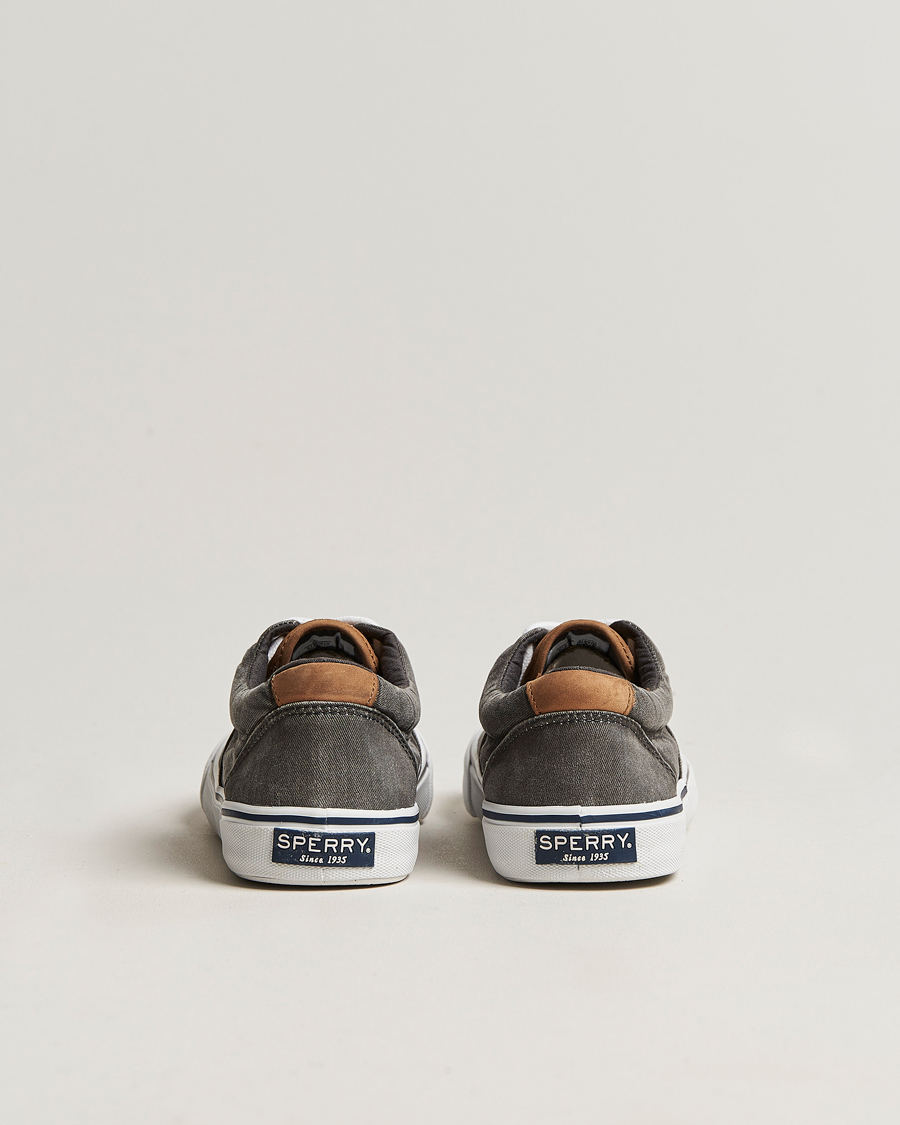 Hombres | Sperry Striper II Canvas Sneaker Whased Black | Sperry | Striper II Canvas Sneaker Whased Black