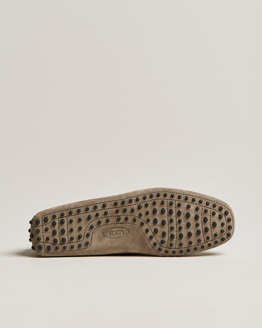 Hombres | Tod's Laccetto Gommino Carshoe Taupe Suede | Tod's | Laccetto Gommino Carshoe Taupe Suede