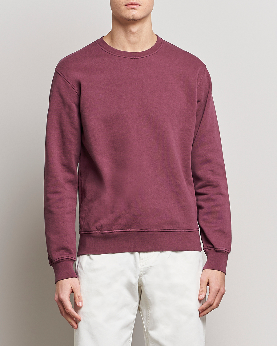 Hombres |  | Colorful Standard | Classic Organic Crew Neck Sweat Dusty Plum