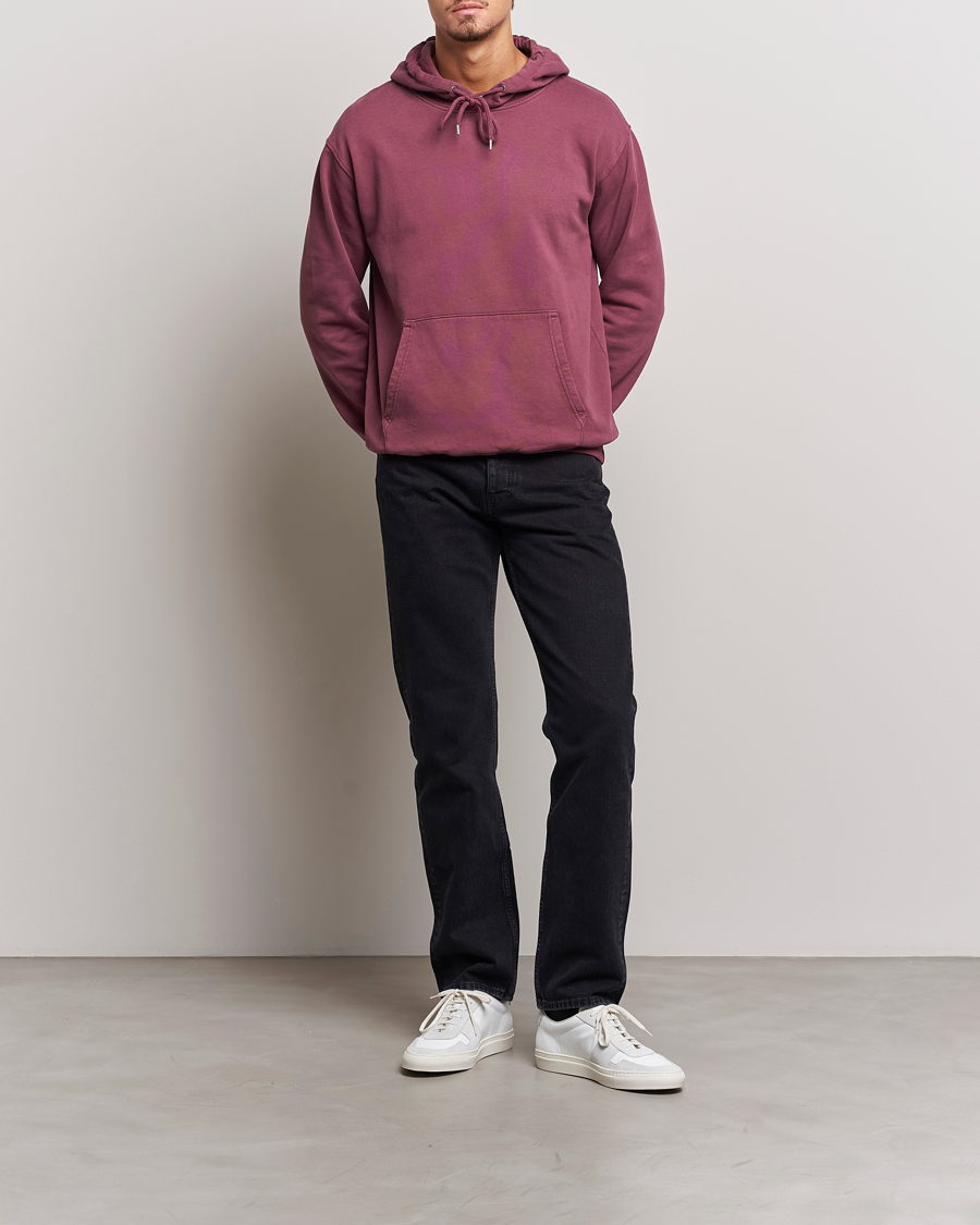 Hombres | Jerséis y prendas de punto | Colorful Standard | Classic Organic Hood Dusty Plum