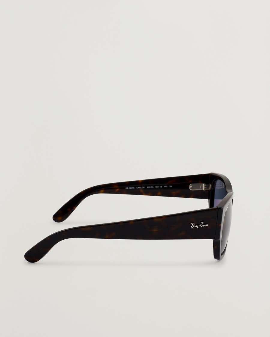Hombres | Gafas de sol | Ray-Ban | Carlos Sunglasses Havana
