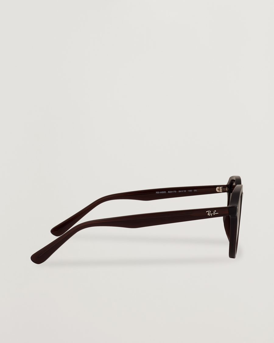 Hombres | Gafas de sol | Ray-Ban | 0RB4459D Sunglasses Opal Brown