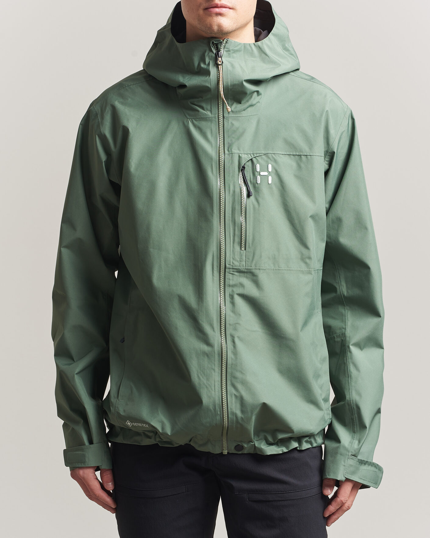 Hombres | Abrigos y chaquetas | Haglöfs | Alert Gore-Tex Jacket Chlorophyll Green