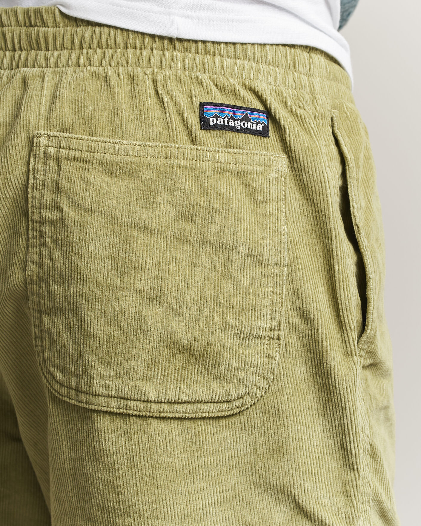 Hombres | Pantalones cortos | Patagonia | Corduroy Volley Shorts Green