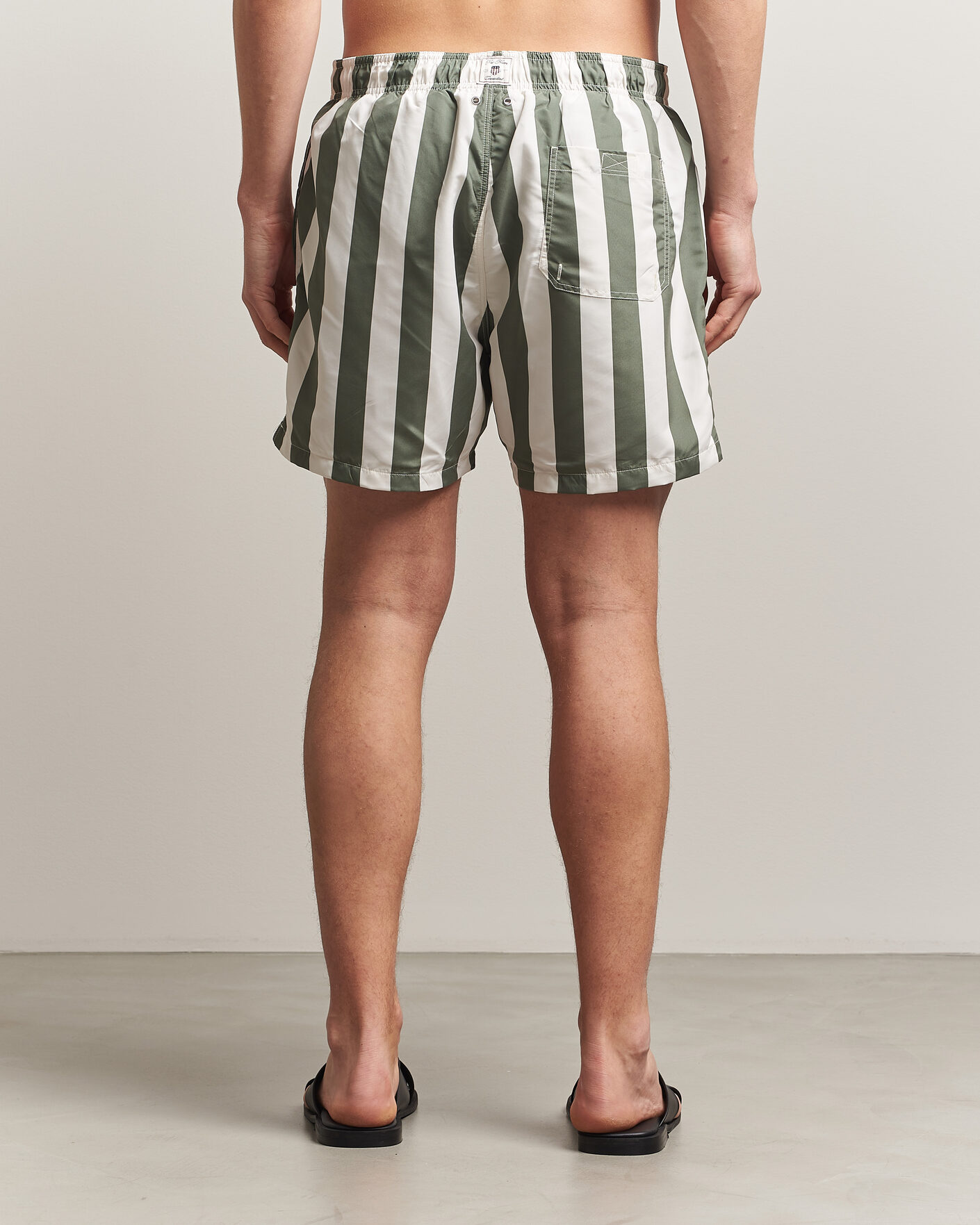 Hombres | Bañadores | GANT | Blockstriped Swimshorts Dry Herb Green