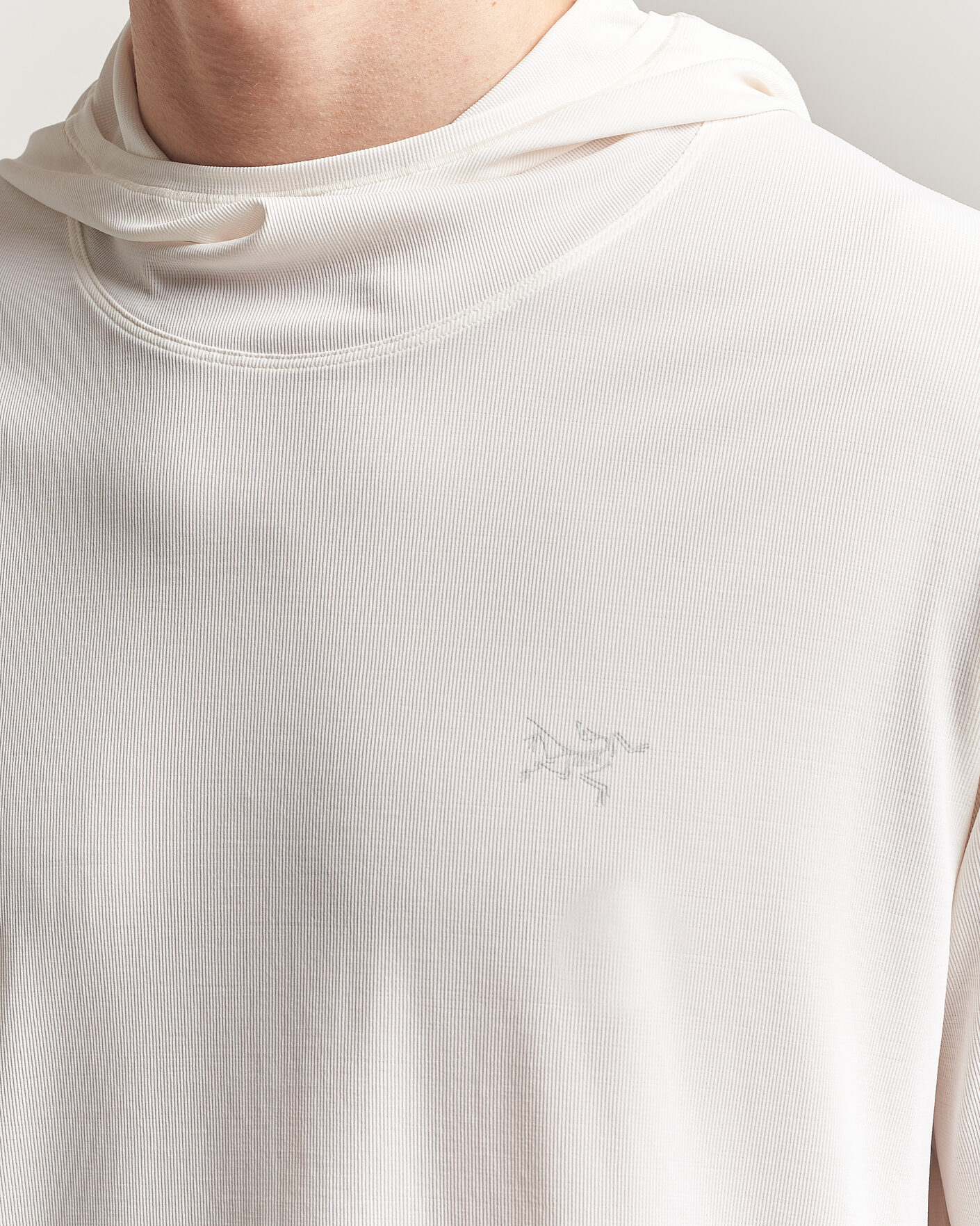 Hombres | Jerséis y prendas de punto | Arc'teryx | Cormac Hoodie Arctic Silk