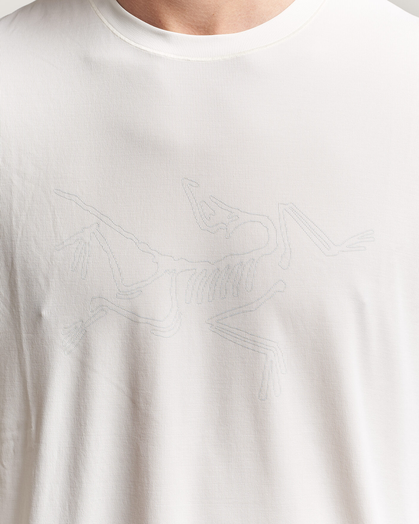 Hombres | Camisetas | Arc'teryx | Cormac Bird Logo Crew Neck T-Shirt Arctic Silk