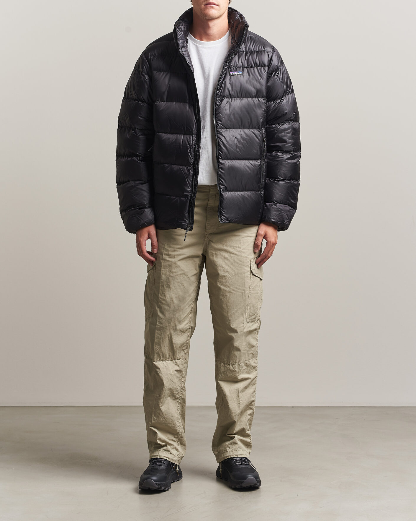 Hombres | Abrigos y chaquetas | Patagonia | Fitz Roy Down Jacket Black