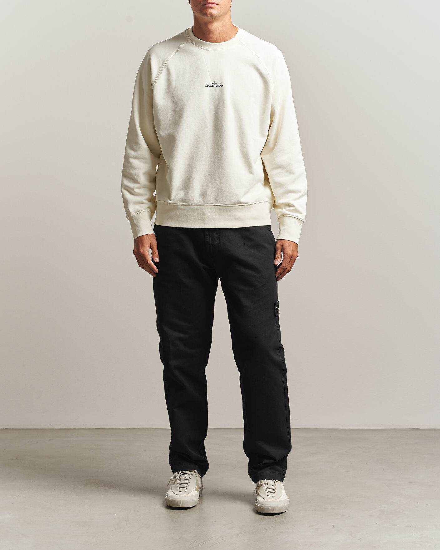 Hombres | Jerséis y prendas de punto | Stone Island | Garment Dyed Fleece Desert Print Sweatshirt Ivory