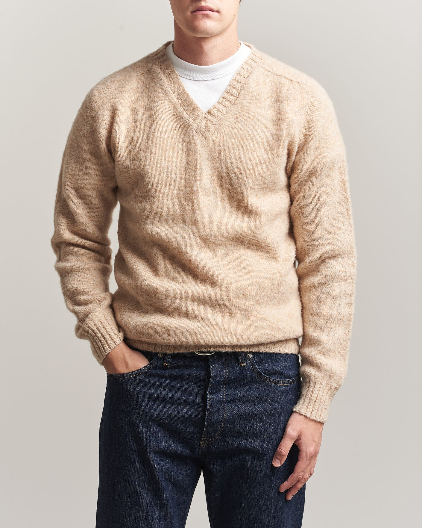 Hombres | Jerséis y prendas de punto | Harley Of Scotland for Care of Carl | Brushed Supersoft Lambswool V-Neck Beige