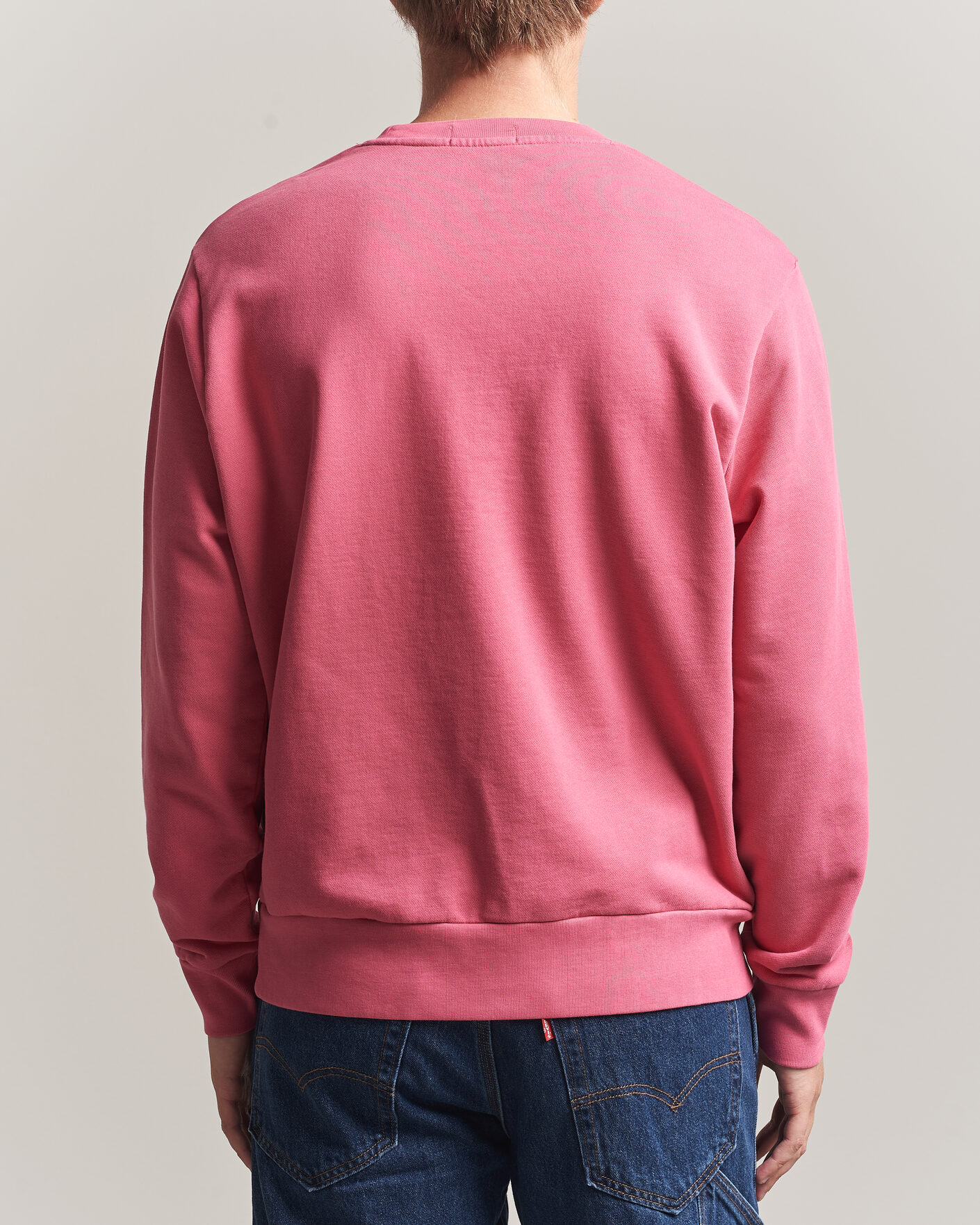 Hombres | Jerséis y prendas de punto | Polo Ralph Lauren | Loopback Terry Sweatshirt Terrance Pink
