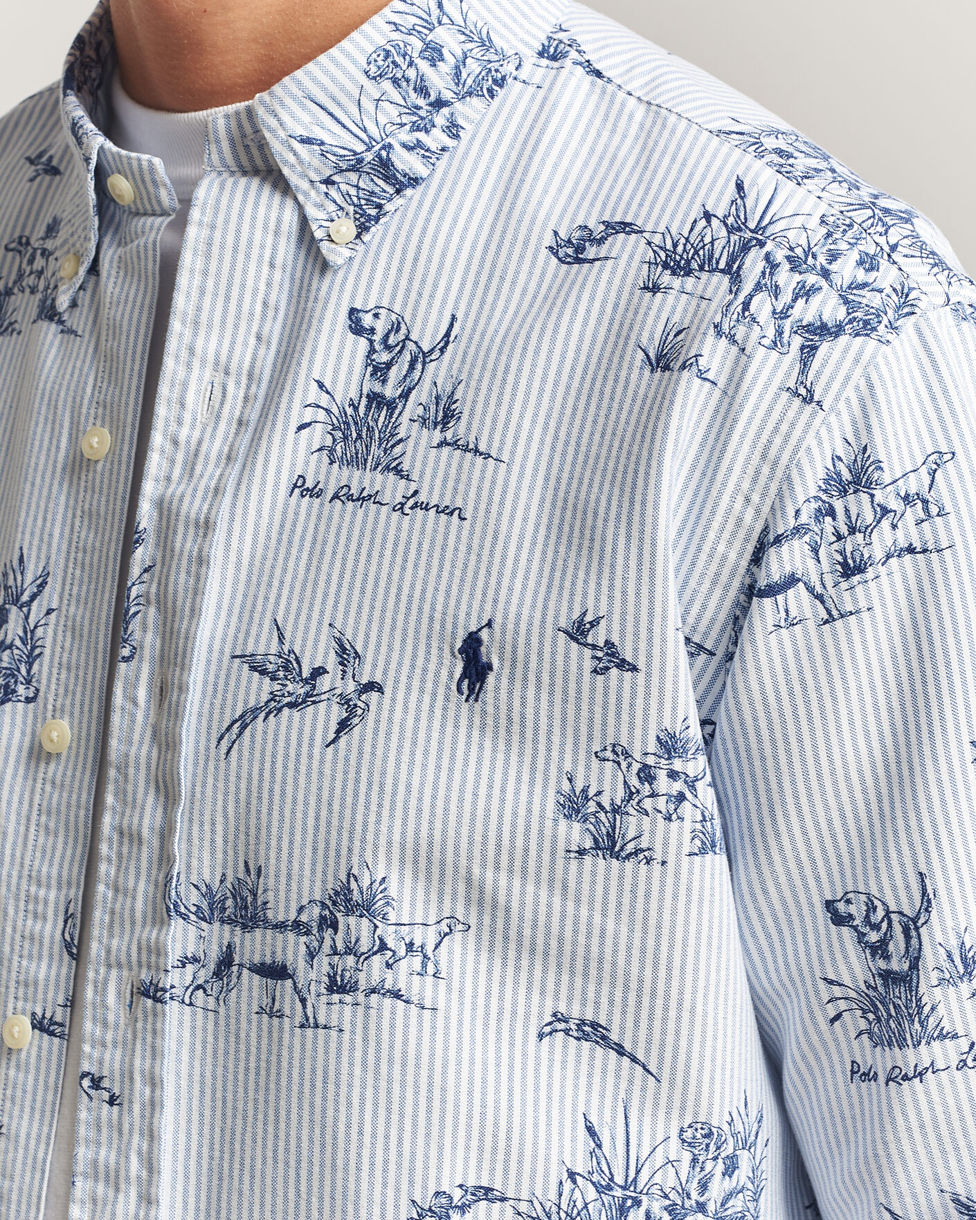 Hombres | Camisas | Polo Ralph Lauren | Custom Fit Printed Oxford Shirt Field & Pheasant