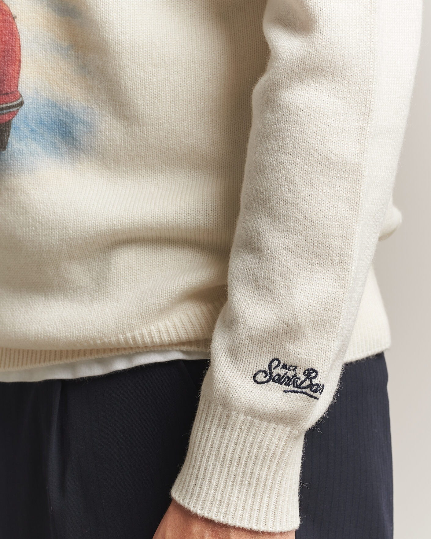 Hombres | Jerséis y prendas de punto | MC2 Saint Barth | Heron Printed Sweater Cortina
