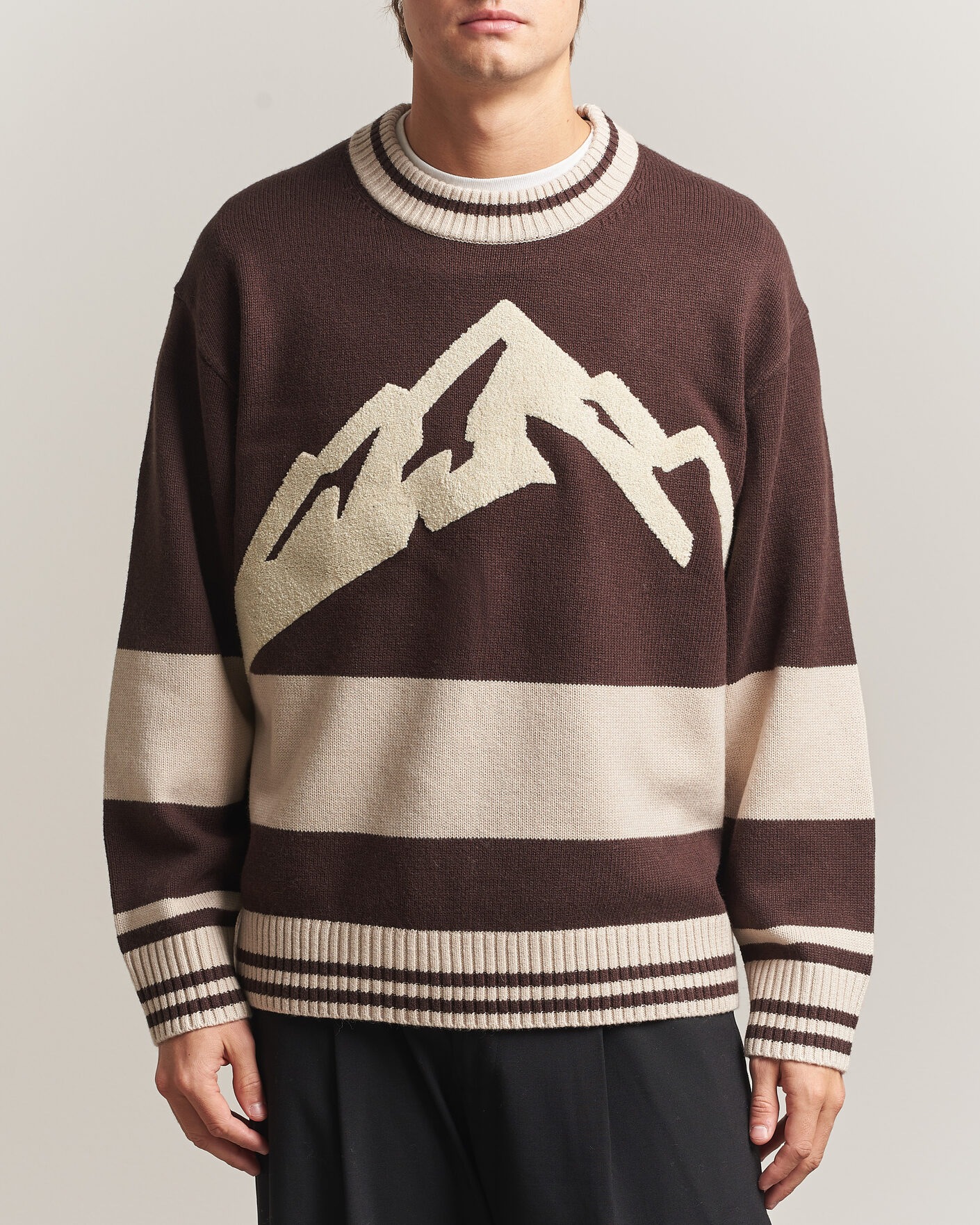 Hombres | Jerséis y prendas de punto | J.Lindeberg | Steve Mountin Knitted Sweater Seal Brown